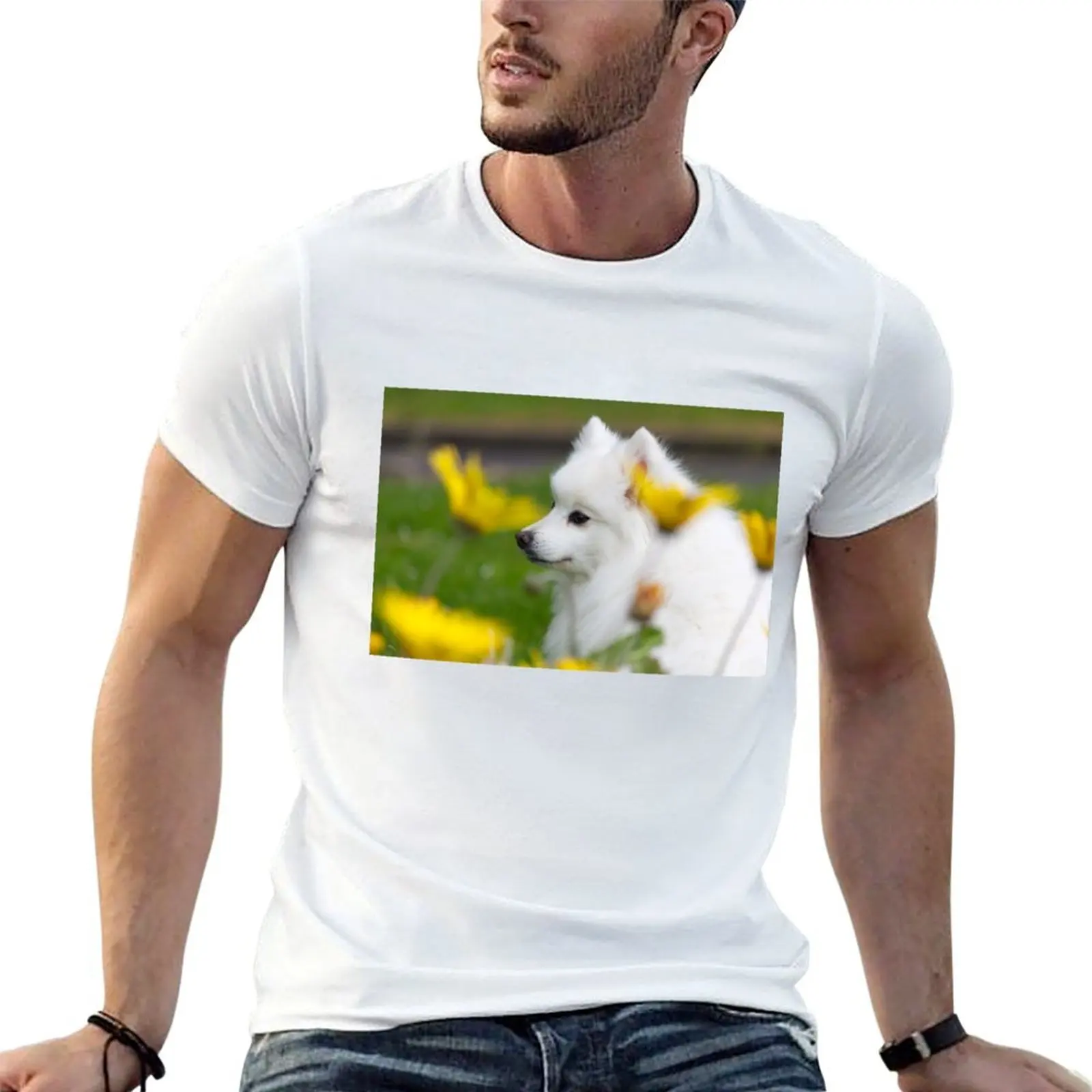 

Spring Spitz T-Shirt graphic t shirts for man t shirt custom print t shirts with prints T-shirt