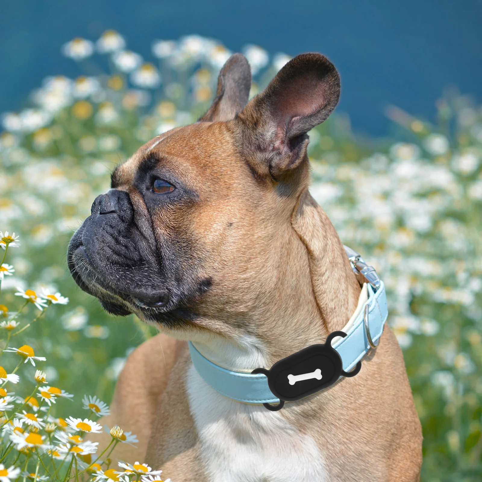 2Pcs Pet Covers Silicone Protective Cases Anti-Lost Shockproof Holder for Keychain Outdoor Use