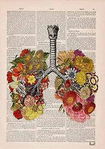 

Metal Sign Anatomy Lungs-Human Anatomy Art Anatomy Poster12x16inch Metal Aluminum Tin Sign