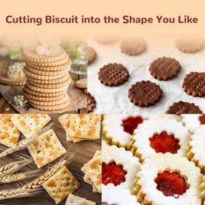 Manuelle Masseformen für Zuhause, Ravioli -Cutter, Press Formenkeks mit Holzgriff, Küchenbackwerkzeug für Knödel Lasagna Pierogi 10 Hauptverkaufsmodelle - №10