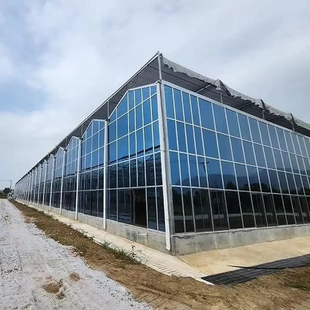 

Customized greenhouseHigh Quality Glass Greenhouse Installation Intelligent Greenhouse Glass Customized Agricultural Sightseeing