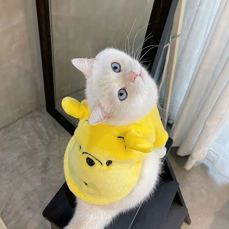 Новый кавайный свитер с медведем пухом и котом, костюм, зимняя теплая одежда для домашних животных, пуловер для кошек, одежда-талисман, товары для животных