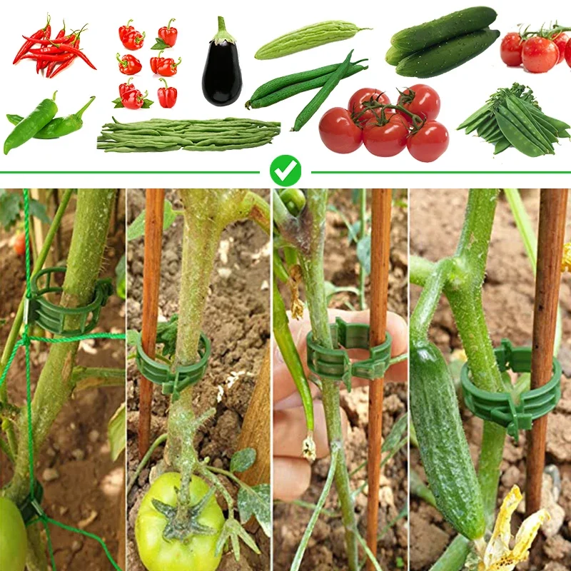 2 IN1 20-200pcs Plant Clips Vine Hold Clips Reusable Buckle Hook Supports Vine Connects for Vegetable Tomato Cucumber Grape