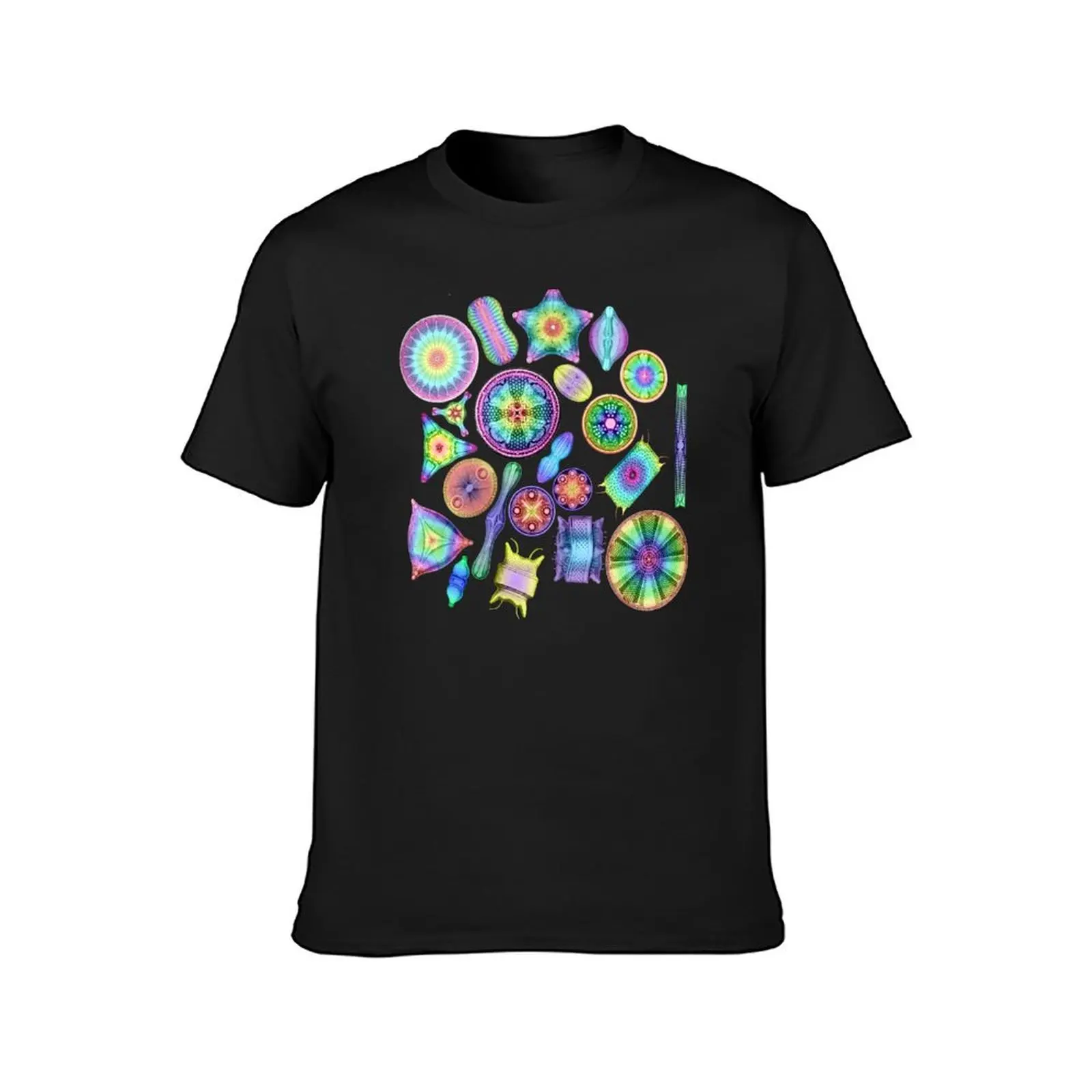 Ernst Haeckel Rainbow Diatoms on Black T-Shirt animal prinfor boys kawaii clothes quick drying funnys men t shirts