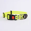Yellow Collar