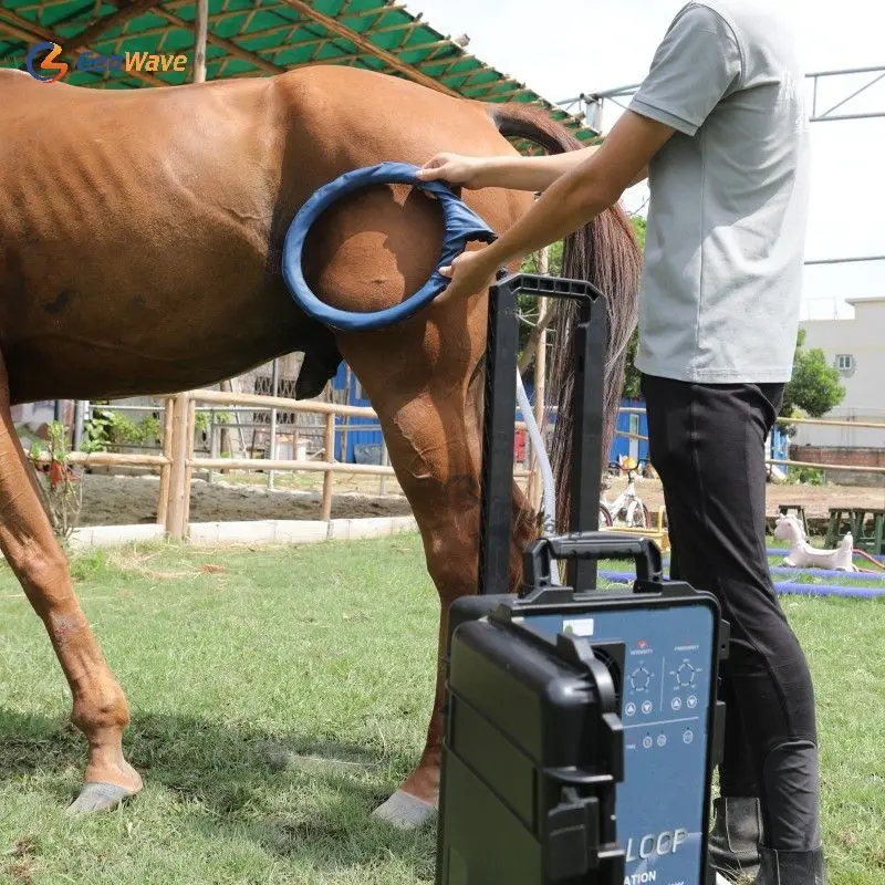 Magna Wave Magnetic Feild Cervical Massager PEMF Loop For Equine Pain Reduction Machine