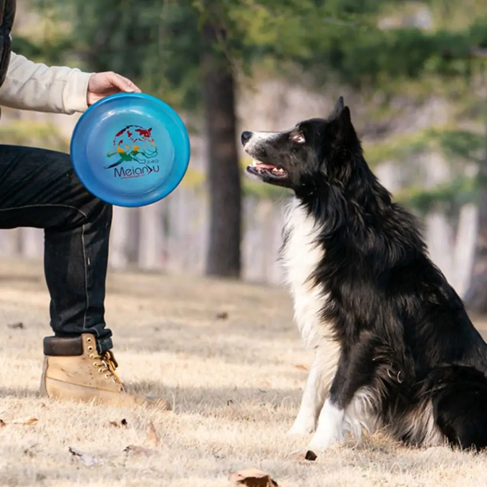 Dog Training Toy 24cm Pet Flying Discs Bite Resistant Soft Dog Throwing Type Toy Luminous Interactive Dog Toy Relieve Boredom