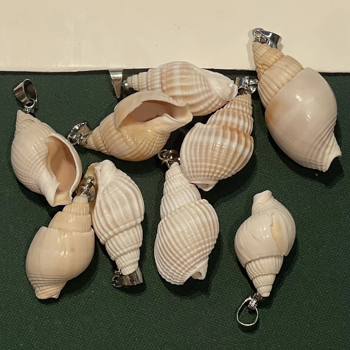 Natural Shell Pendants Striped Conch Seashell Charms Silver Color Metal Bail for DIY Necklace Earring Jewelry Making Supplies