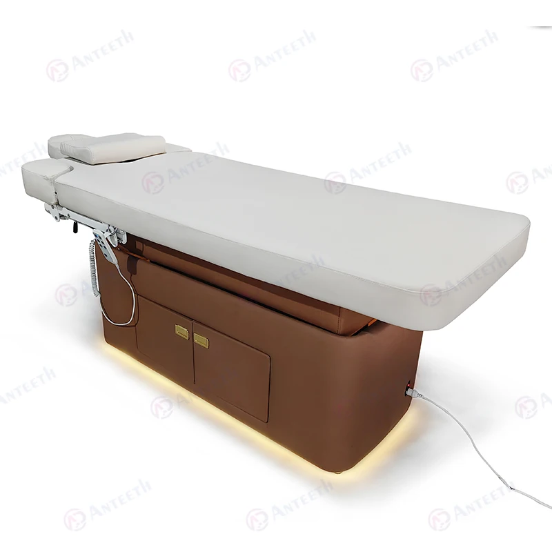 Luxury Esthetics Facial Salon Furniture Personal Care Cosmetic Spa Beauty Bed Puncture Electric Massage Bed