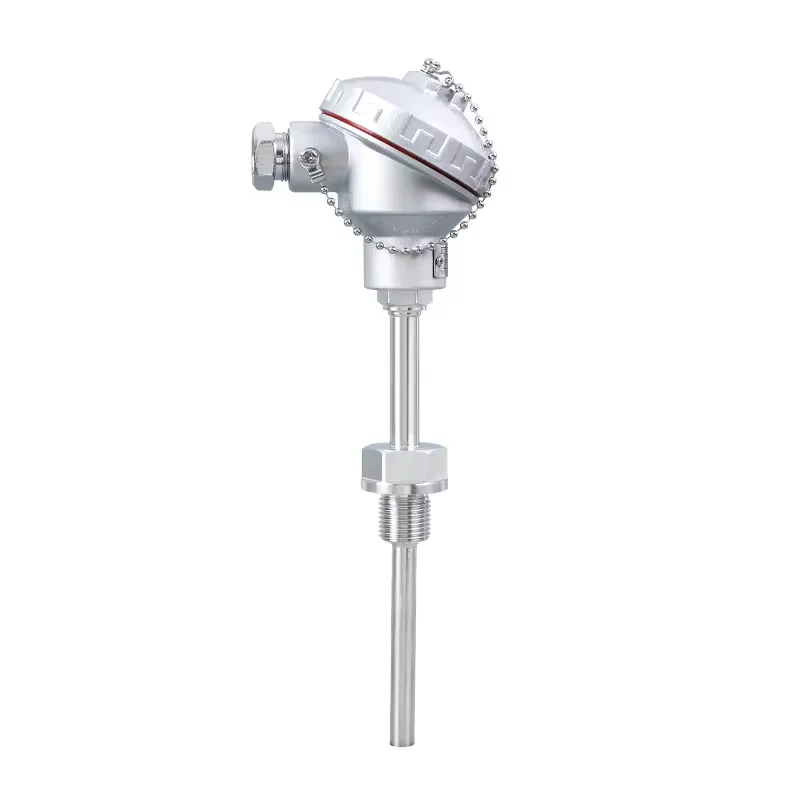 -50-500CC PT100 Sensor G1/2 Thread 300mm Probe Diameter 6mm Temperature Transmitter