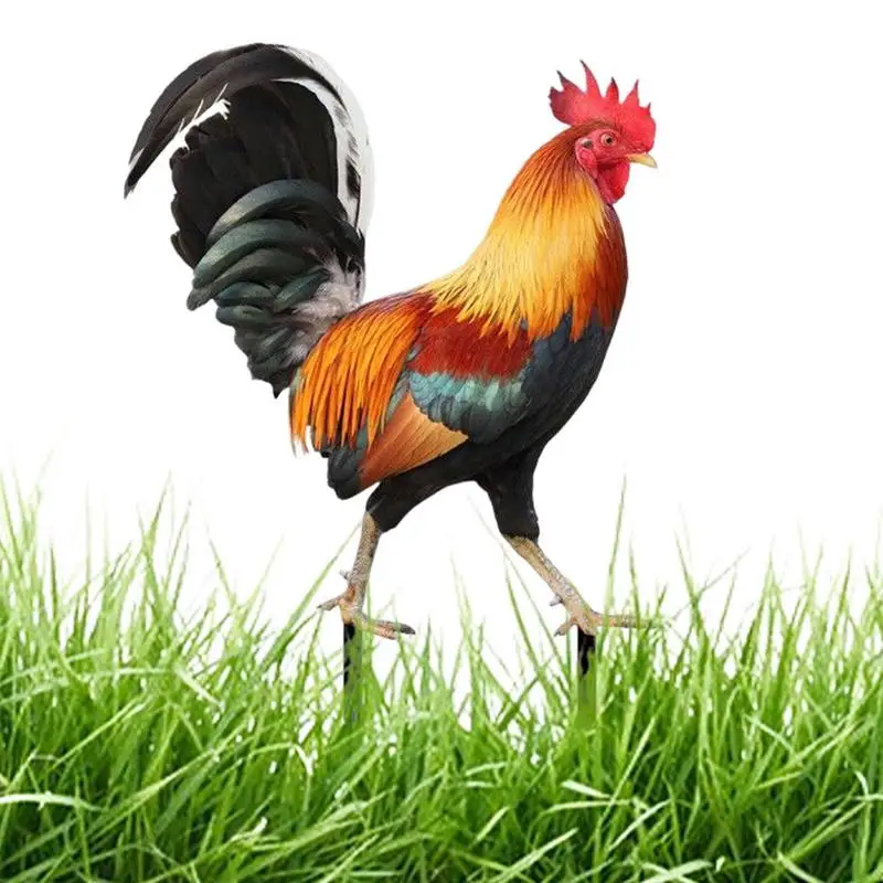 

Garden Stakes Rooster Animal Statue Yard Sign Decorative Sculpture Lifelike Figures Hen Garden Ornaments for Backyard Outdoor