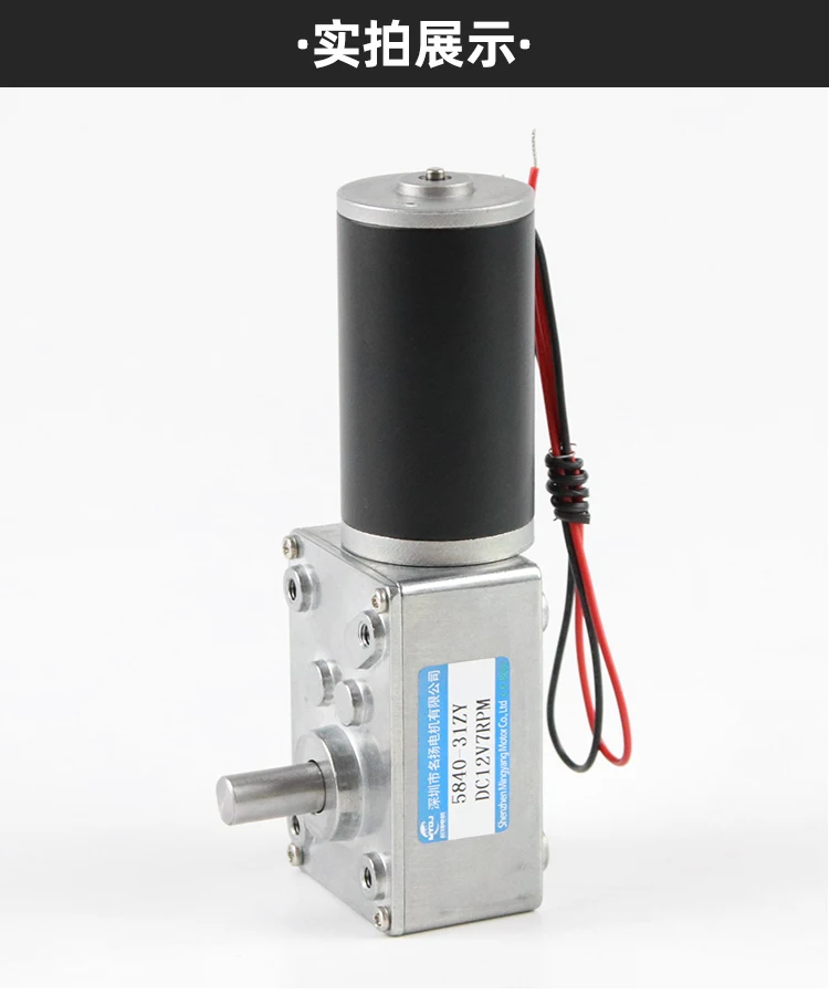 Double Shaft High Torque Worm Geared Motor DC 24V 12V 5-470RPM Self Locking Adjustable Speed Reversed High Torque Maximum 70KG