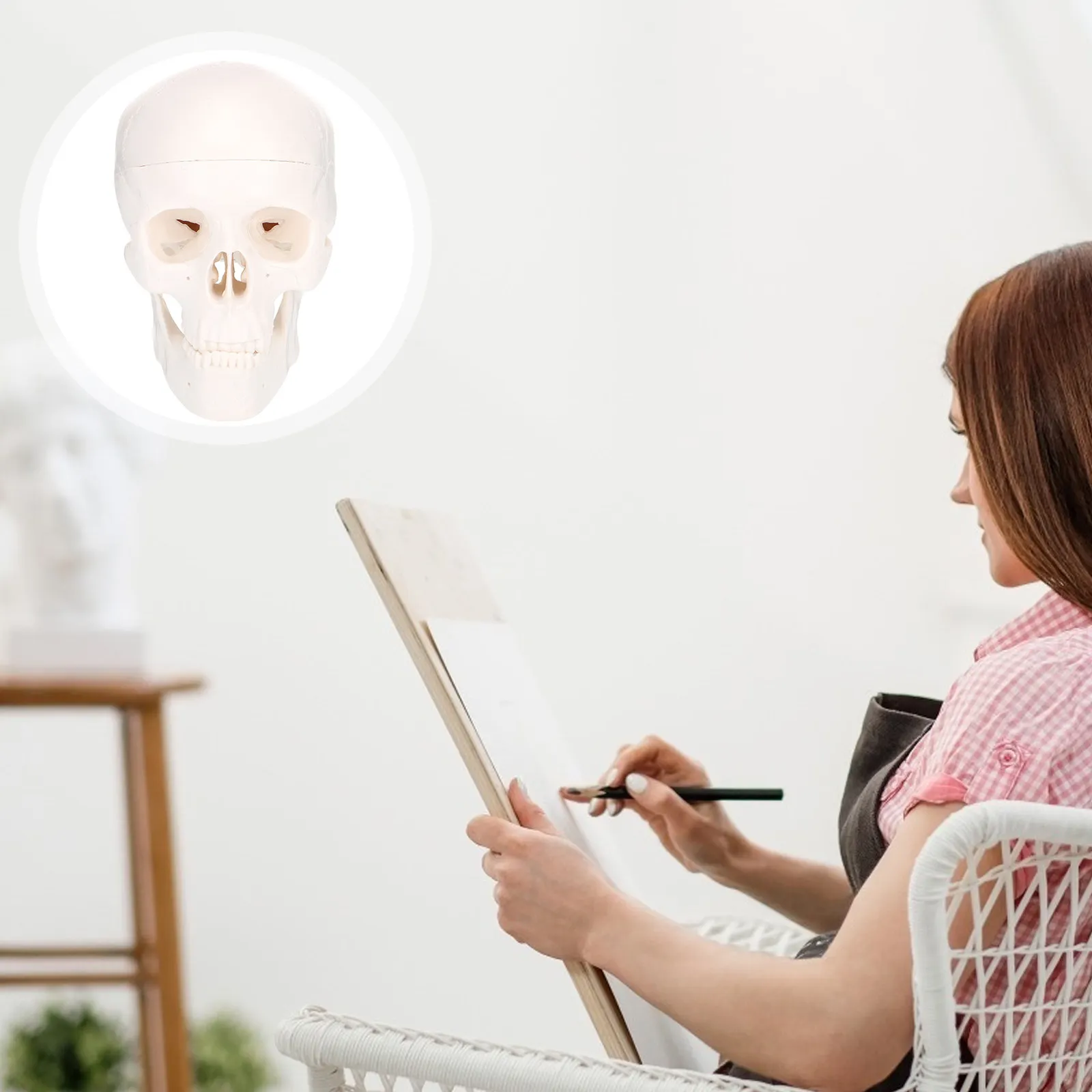 

Миниатюрный пластиковый мозг человека (1 шт.), высококачественный анатомический макет для обучения в школах и больницах, разборный настольный декор