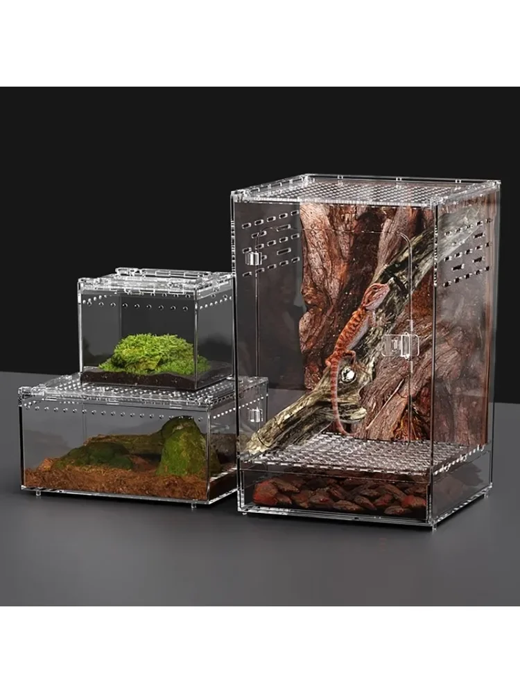 Boîte d'élevage de Terrarium pour habitat de Reptile, boîtier en acrylique, boîtier de tarentule Nano arboréale, araignée, Scorpion, Dragon barbu