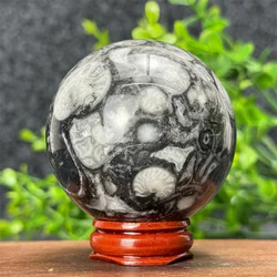 Natural High Quality Shell Stone Ball Healing Energy Ball Witchcraft Meditation Ward Off Evil Spirits Feng Shui Home Decoration