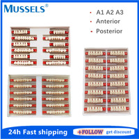 84/96pcs Dental Acrylic Synthetic Resin Teeth False Fake Composite Tooth Full Mouth Denture Upper Lower Posterior Anterior S/M/L