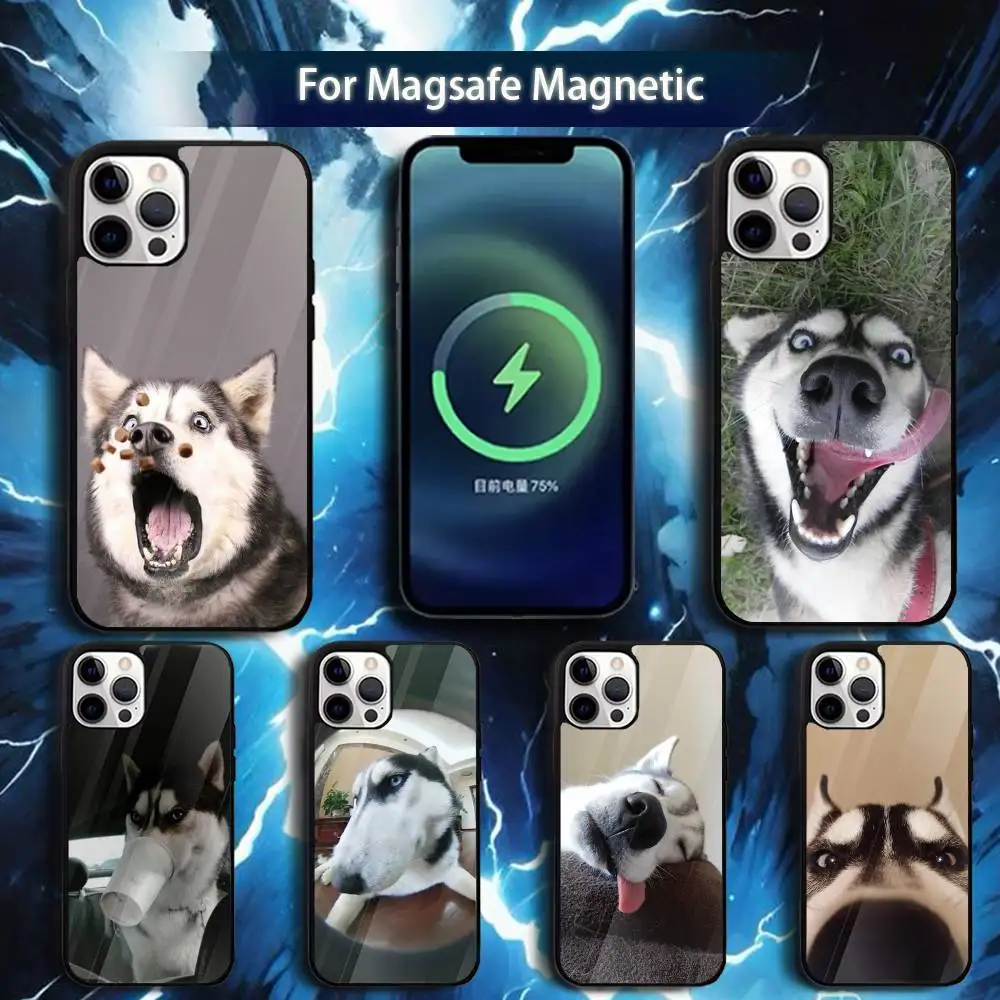 

Siberian H-Husky Dog Phone Case For iPhone 17,16,15,14,13,12,11,Pro,Max,Plus,Mini,Magsafe,Magnetic Wireless Charging Case