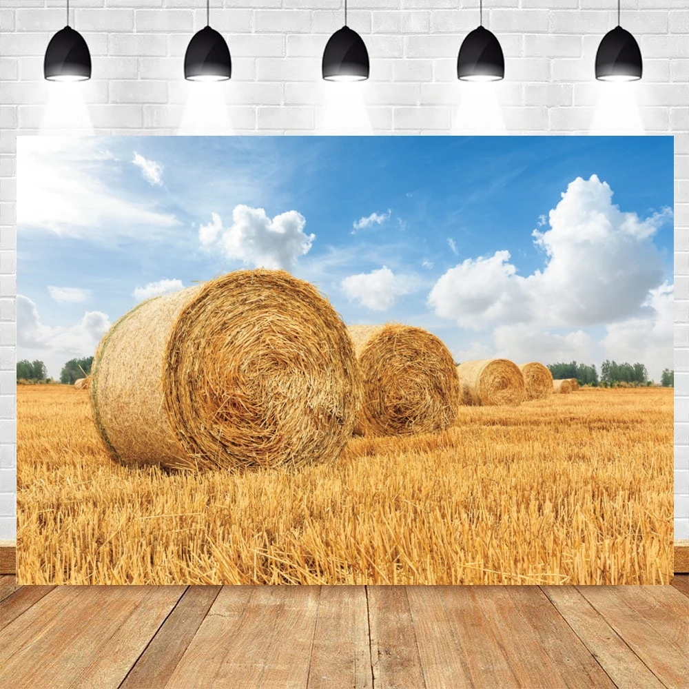 Autumn Farm Haystack Background Golden Wheat Spikes Grass Crop Blue Sky Natural Scene Photography Backdrop Photocall Photo Props