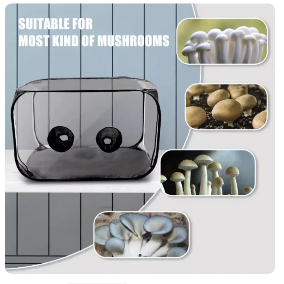 أكياس نمو الفطر لا يزال صندوق الهواء محطات انتشار خيمة الفطر المحمولة طوي الفطر تنمو حقيبة للفطريات الصالحة للأكل R2L1 #5