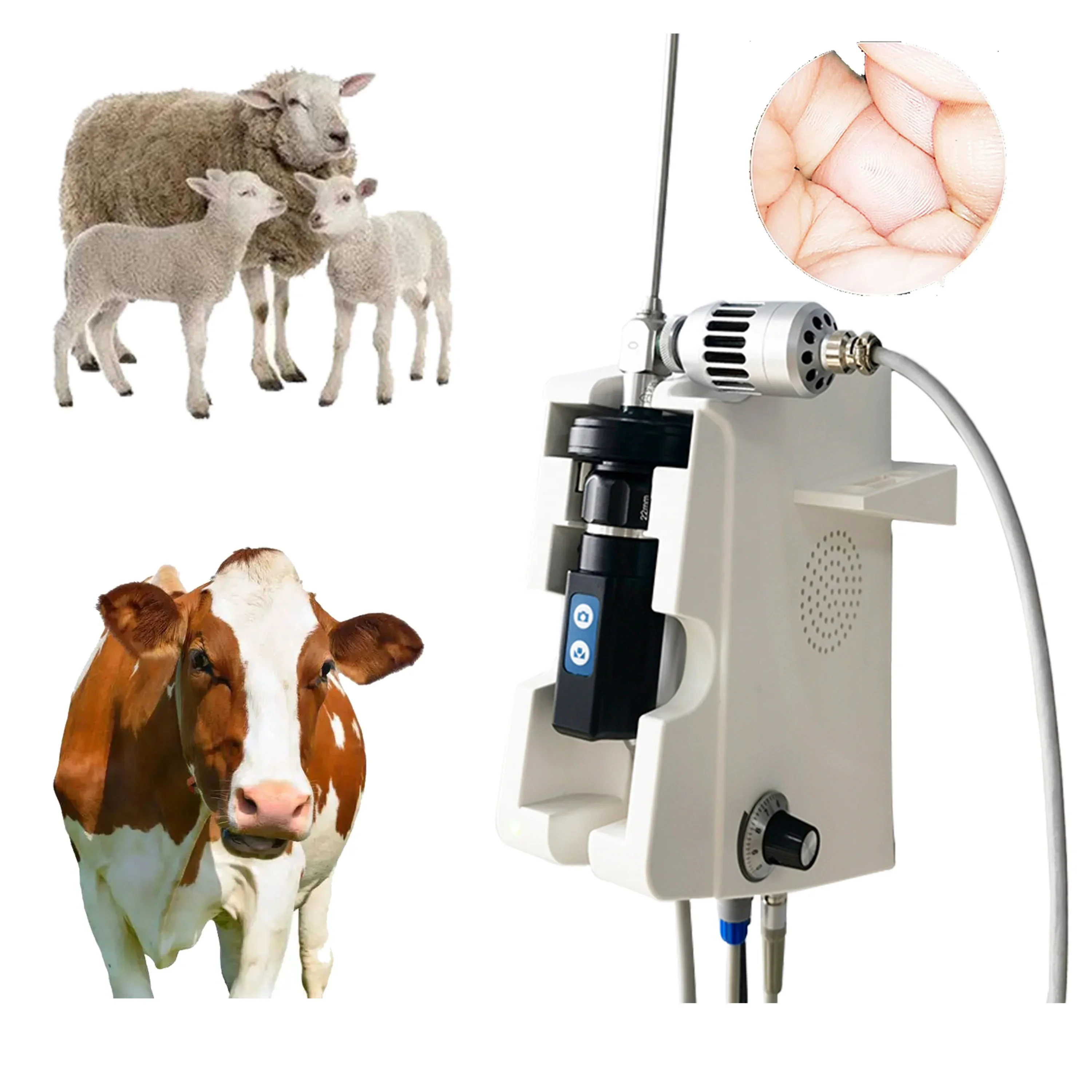 Veterinary Hd Wifi Endoscopic Camera Medical Video Ent Otoscope Digital Flexible Endoscope For Horse Sheep Animal