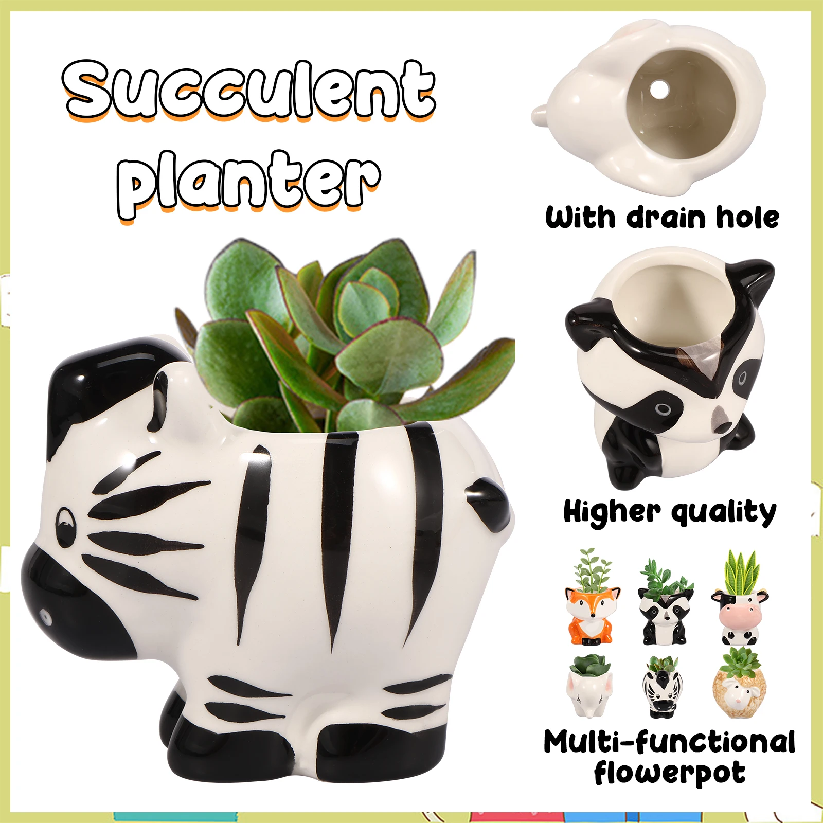 cactus succulent Cactus and Succulent Growers Soil