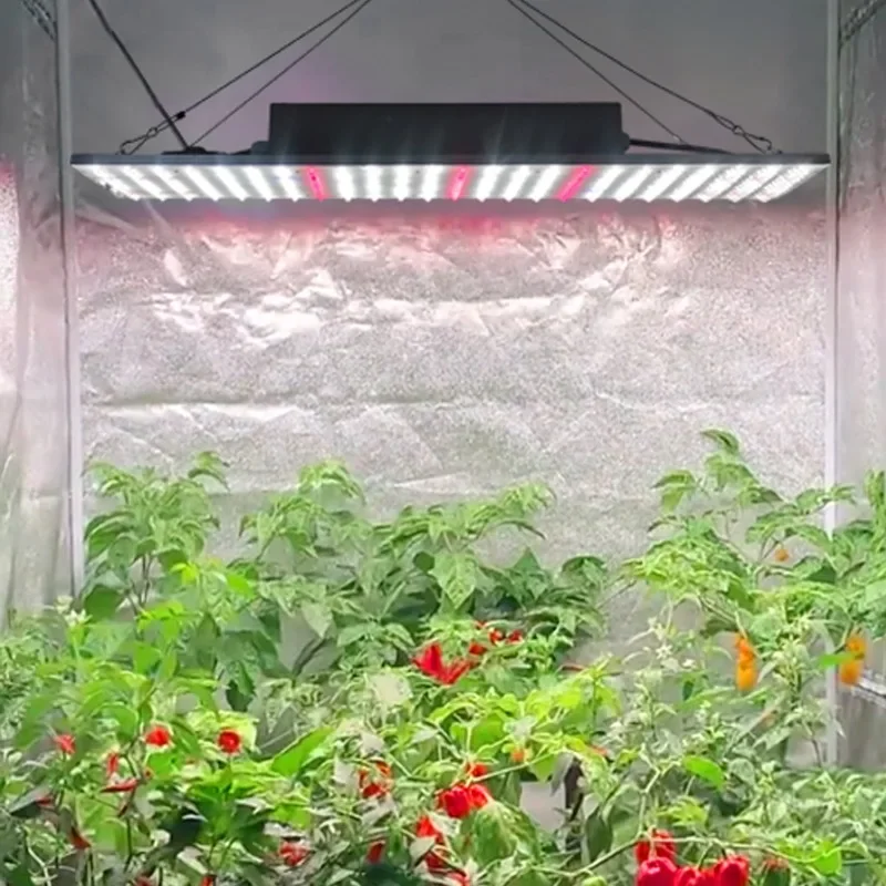 commercial grade led grow lights 6000k 660nm full spectrum board 100w 150w aluminum plant lamps for paprika