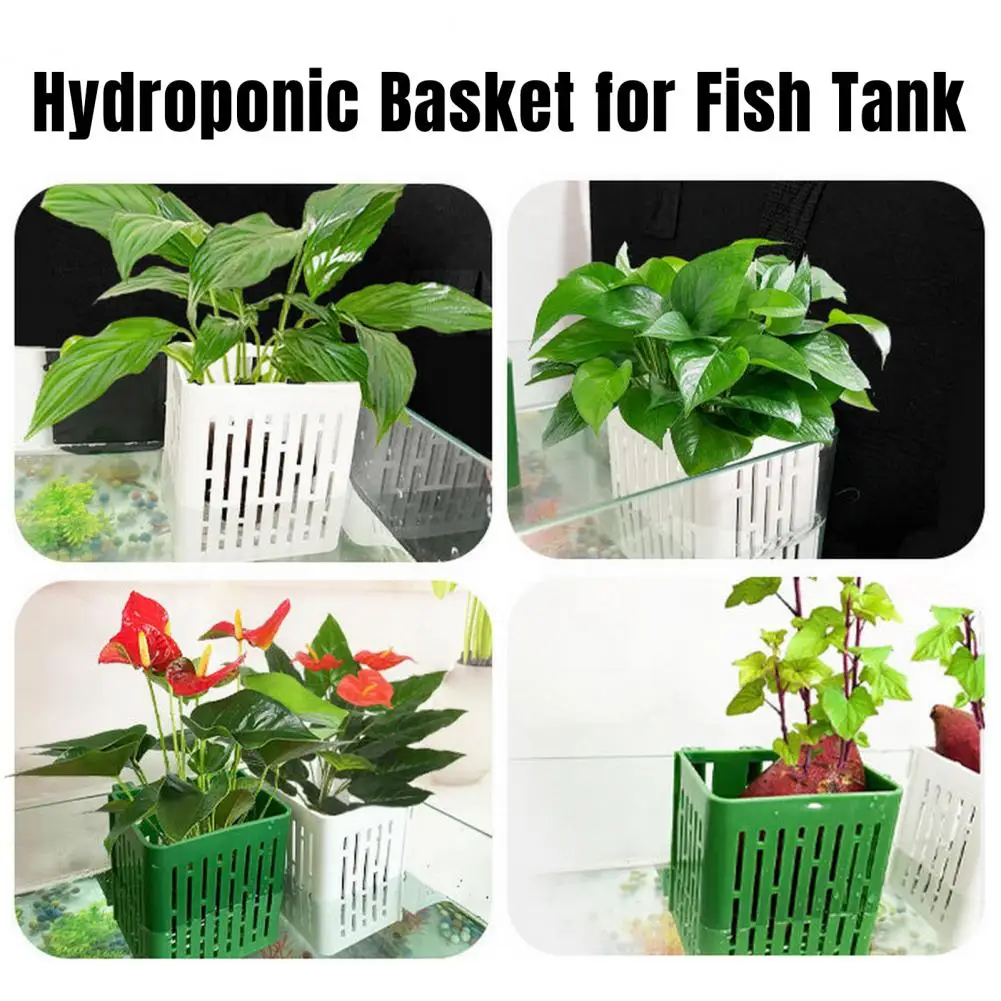 Aquarium Plant Stand Holder Heat-Resistant Hydroponic Basket Hanging Fish Tank Planter Cups with Hook for Aquarium Decoration