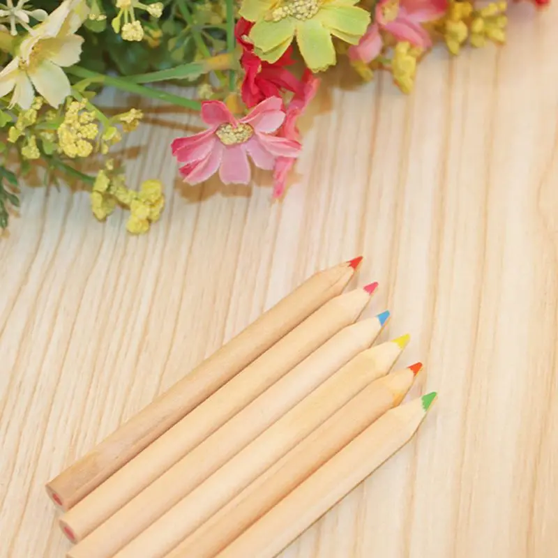 6 Paint Colored Pencils,Pre- Sharpened,HB Core Wooden Colored Pencils With Sharpener For Drawing Art,Sketching,Shading lapis de