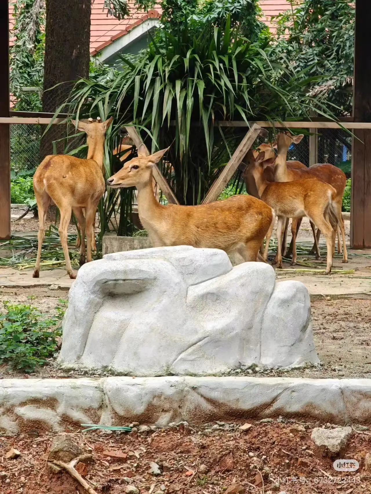 

Professional Water Hydra Dermabrasion Machine Oxygen Ice Blue Smart Jet Aqua Peeling, Microcurrent Bubble Facial Cleansing