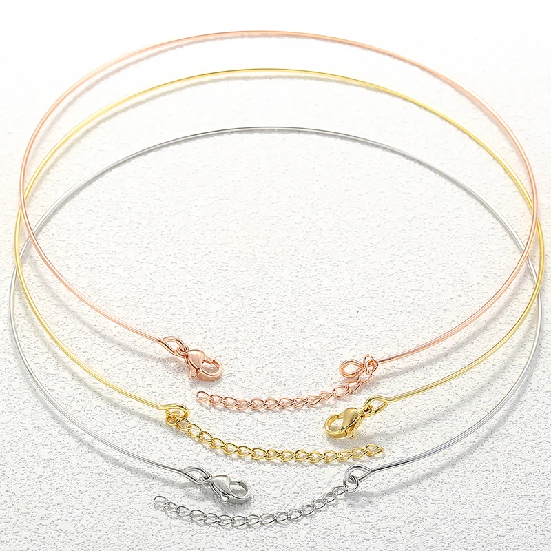 Edelstahl Feiner Runder Choker mit Karabinerverschluss, Verstellbar, Hypoallergen, Verblassungsbeständig, Schmuckherstellungszubehör: VL817 – Detail 5