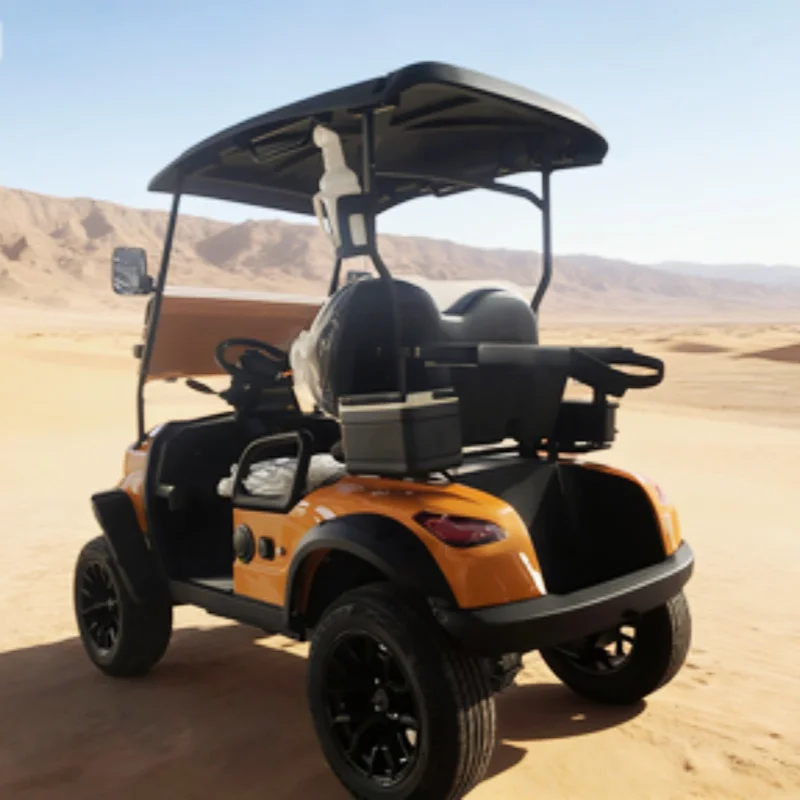 High Quality Club Car 2 Seats Electric Golf Buggy 5000W Motor Off Road Electric Golf Cart With Black High-End Seats Sand Bucket