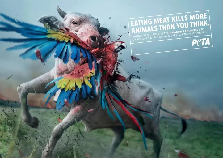 Рисунок 5 - Индивидуальные ПЭТ-листы Пластиковая