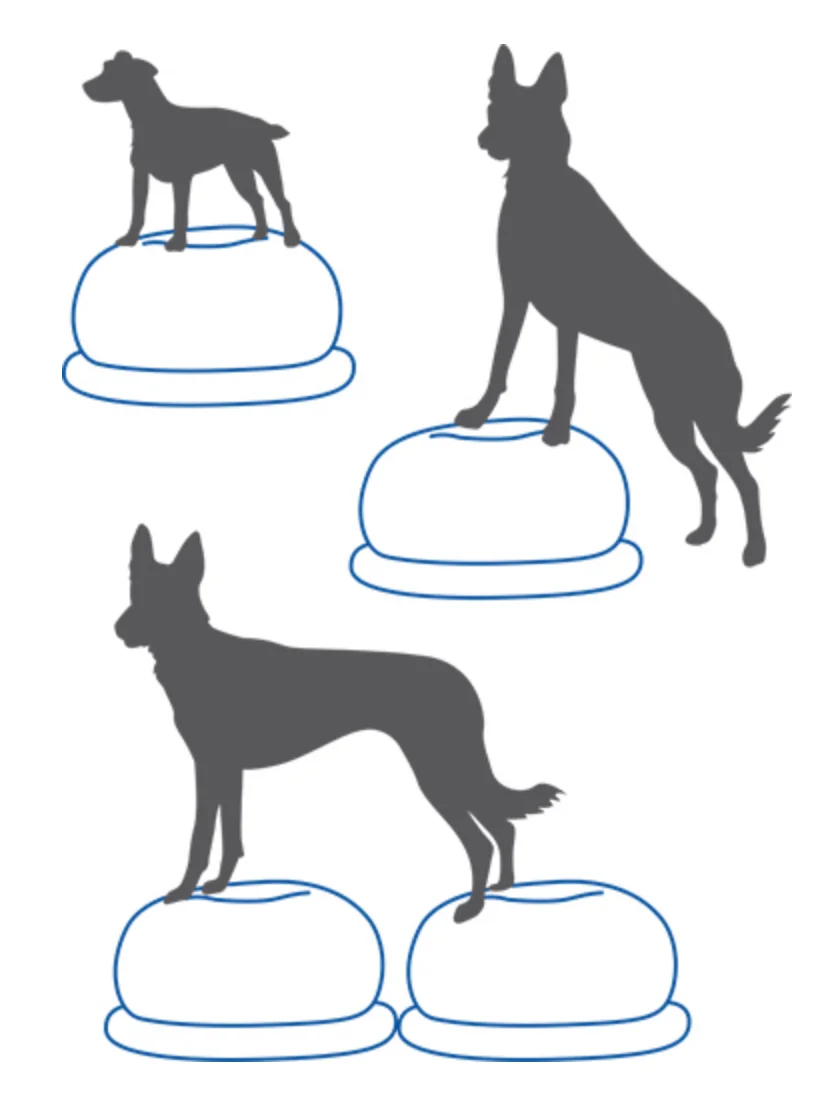 Balance Disc Cushion Dog Balan - Balance Cushion Disc recensie en prijs