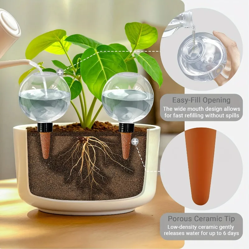 #29 Latest Watering Globes Offers