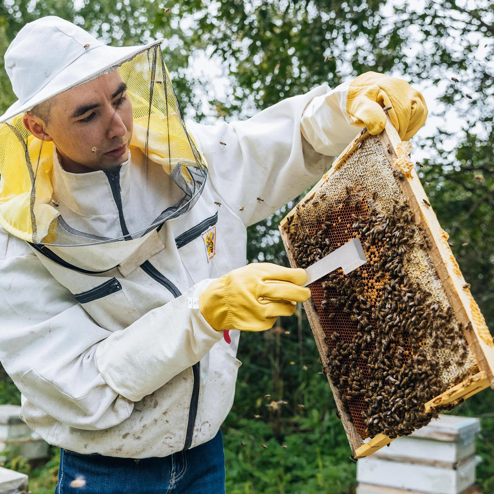 

Beekeeping Hive Tool Stainless Steel 26 5cm 4 5cm Width Frame Lifter Scrapper Pry Trim Bar Equipment Hanging Hole Beehive