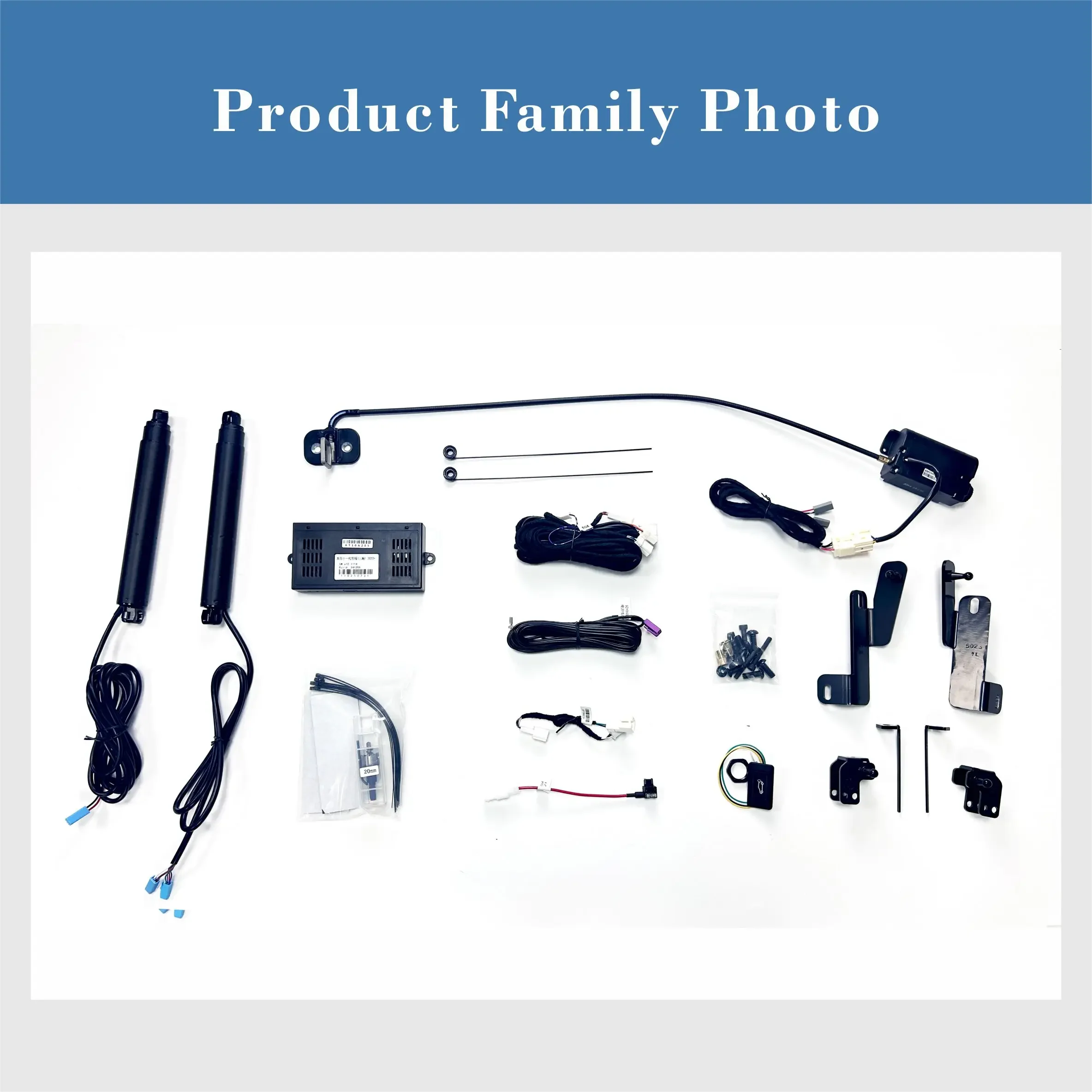 Exclusive Production Worldwide Electric Tailgate Hydraulic Electric Tailgate for Civic Custom  OEM Compression Price