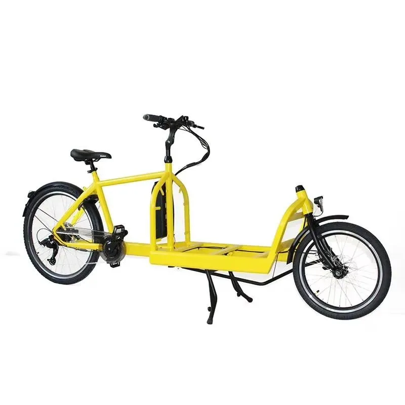 Adult 2 Wheel Bicycle for Goods Grocery Home Use