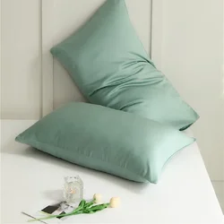 Luxurious 60S Lyocell pillowcase single product summer ice silk cool pillow case single pillowcase a pair.