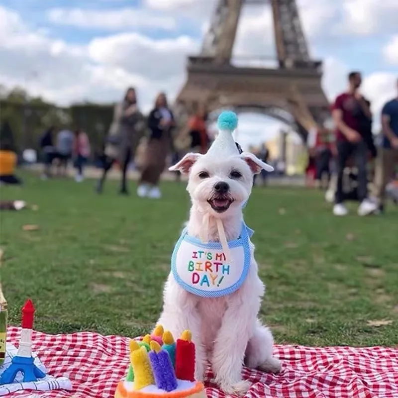 Birthday hat bib Internet celebrity INS pet dog dog cat scarf saliva scarf cute scarf