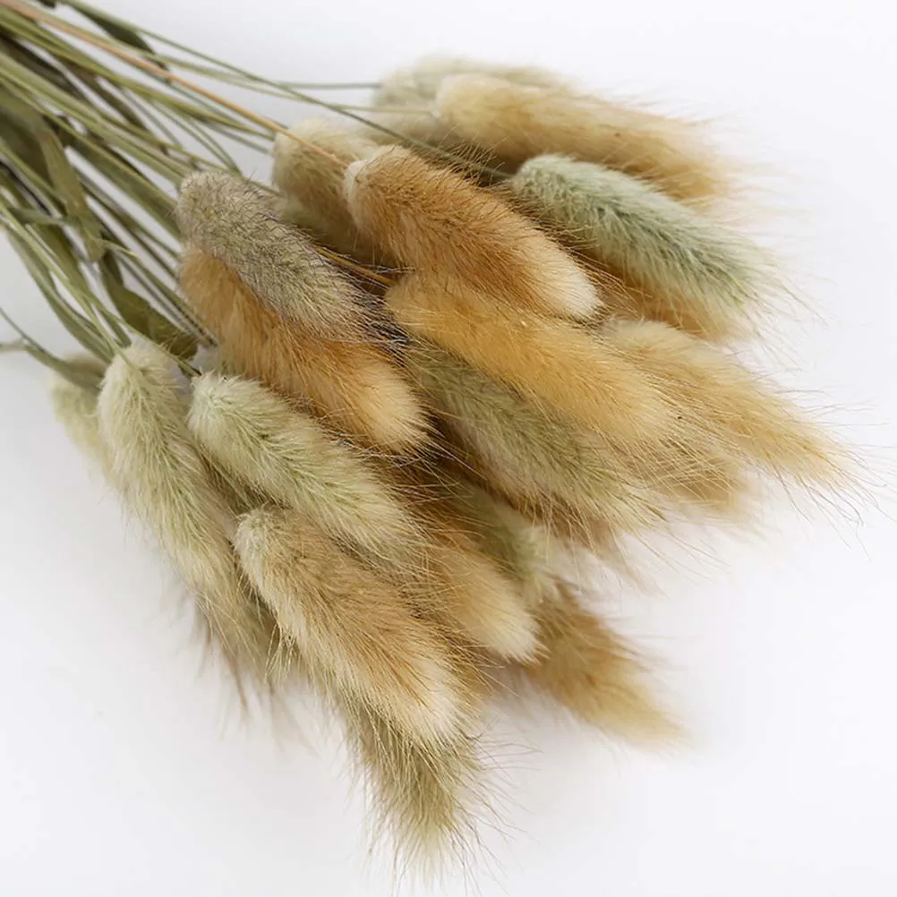 

50Pcs Rabbit Tail Dried Grass Natural Plants Decorative Flowers Wedding Home Office Photo Props Dried Grass Pennisetum
