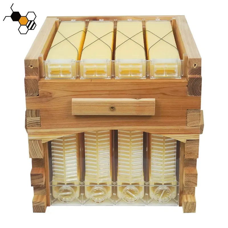 Golden Automatic Flowing Hive with 4pcs Automatic Flowing Frames Tube and 1pcs Key Food-Grade