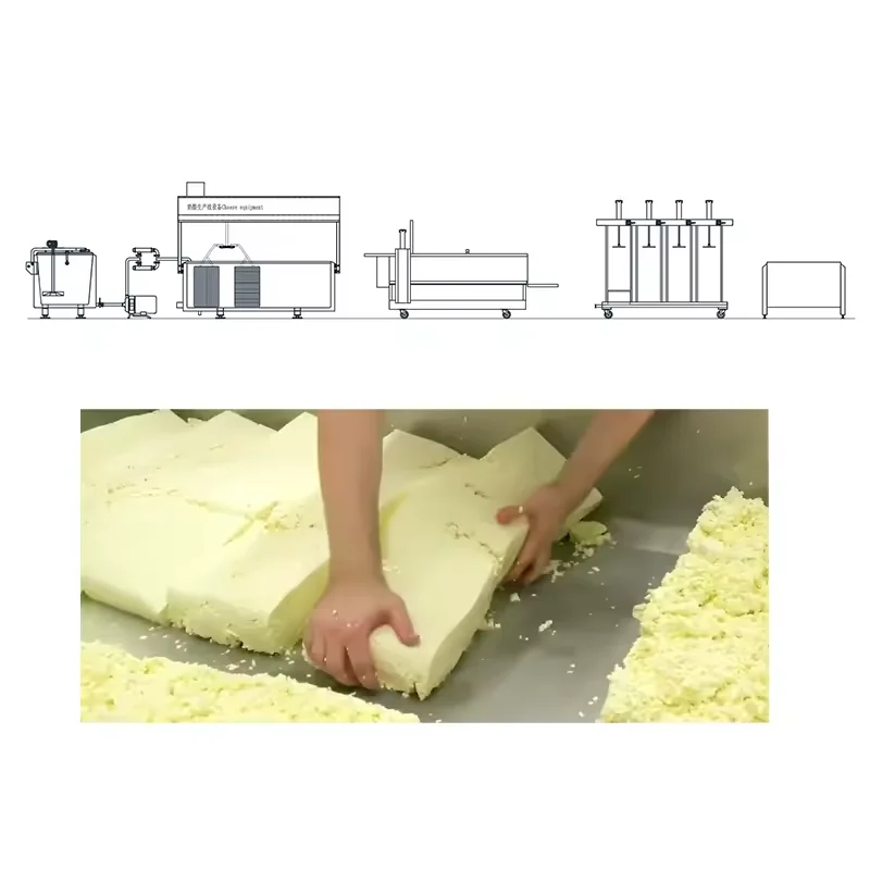 Fully Automatic Mozzarella Cheese Production Line | Industrial Cheese Making Machine with 1000L Processing Vat view 6