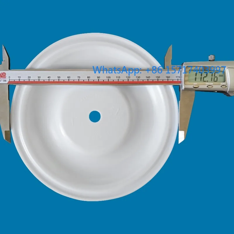 

Va25 188605 Pneumatic Diaphragm Pump