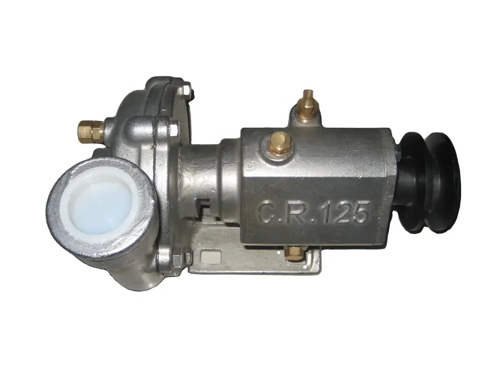 CR125 Marine Pump Stainless Steel Oil Pump Sea Water Pump Electric Diesel Engine Spare Parts