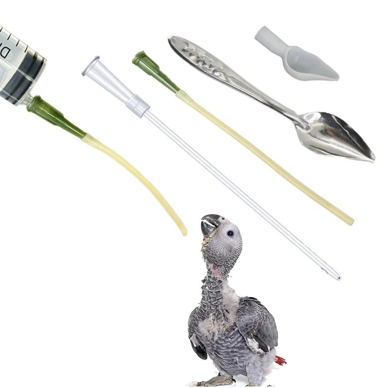 

Bird Feeding Dropper Hose Small Pet Feeder Water Needle Tube Liquid Injection Hose Parrot Feeding Syringe Spoon Kits Pet