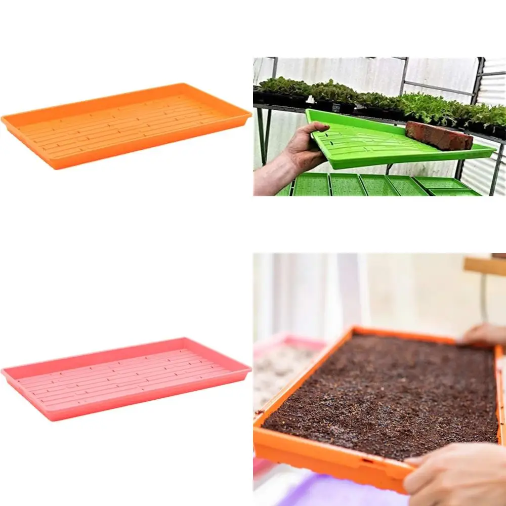

Очень прочные оранжевые микрозеленые лотки, упаковка из 10 шт., неглубокие с отверстиями для выращивания пшеничных микрозеленов