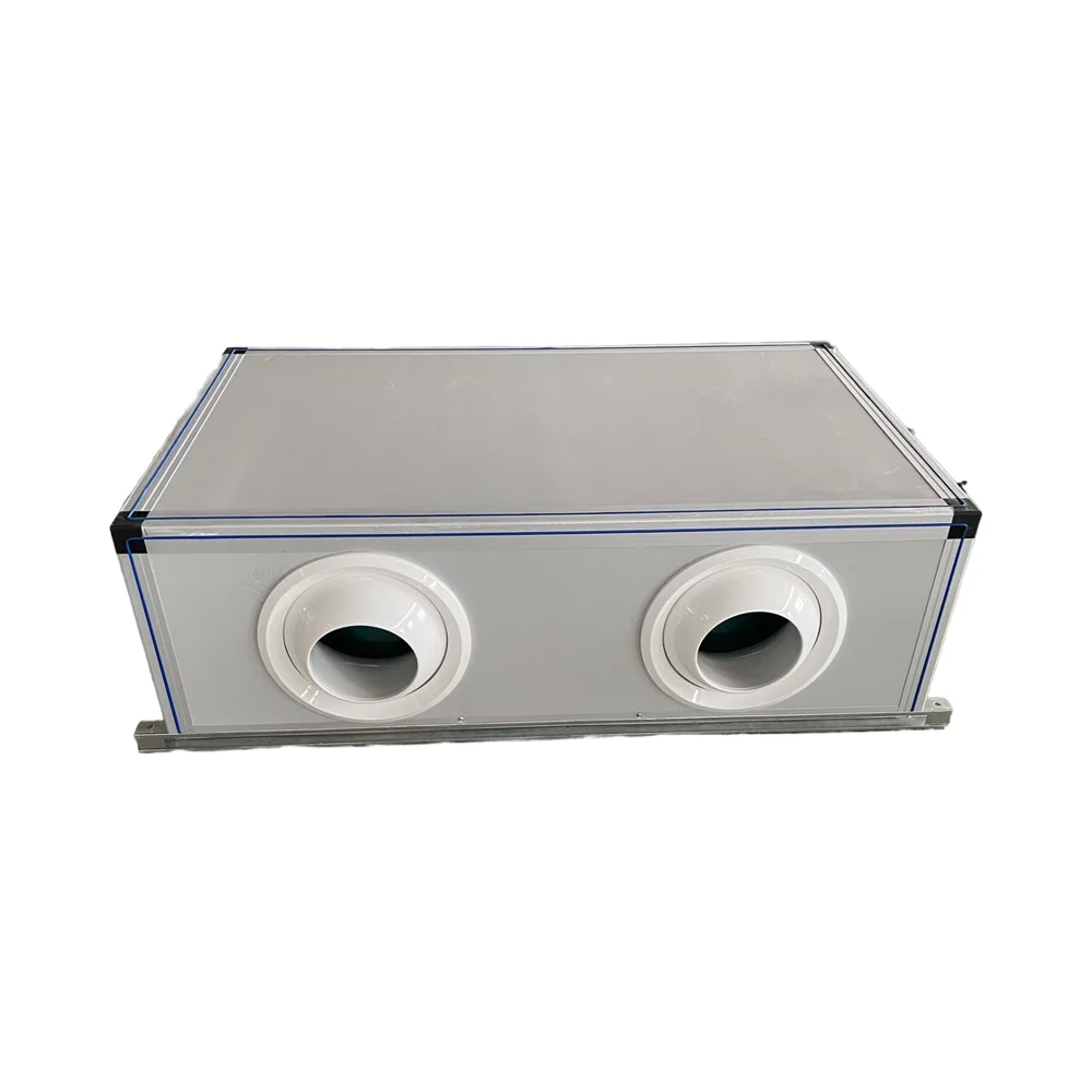HAVC Industrial Heat Recovery Fresh Air Ventilation System Central Ceiling Supply Air Refrigeration Heat Exchange Equipment