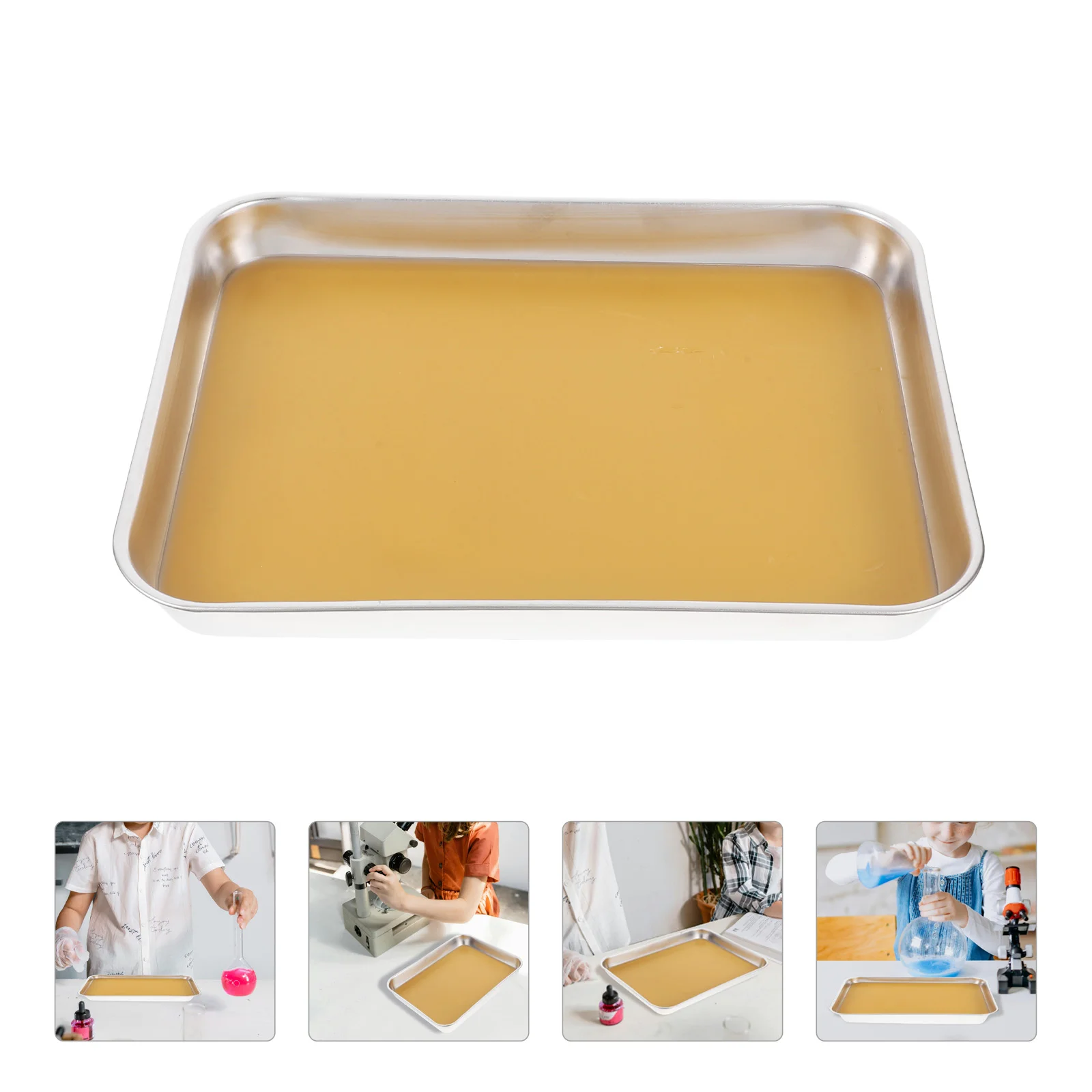 

Anatomy Tray Stainless Steel Dissecting Storage Trays Wax Pan Holder Laboratory Dissection with