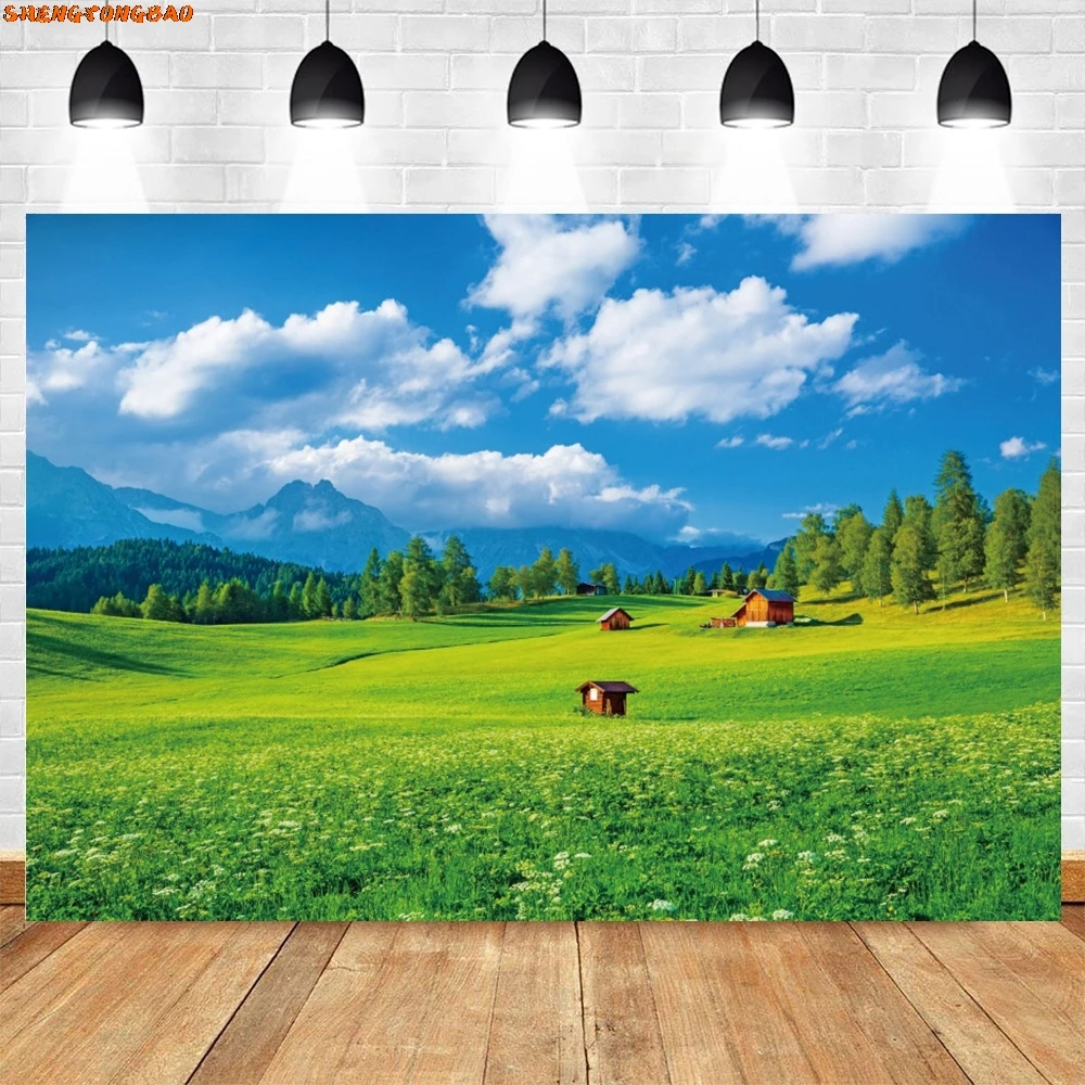 خلفية تصوير ربيعية، عشب الغابة الخضراء، السماء الزرقاء، المناظر الطبيعية الجبلية، ديكور العطلة، صورة خلفية الصورة