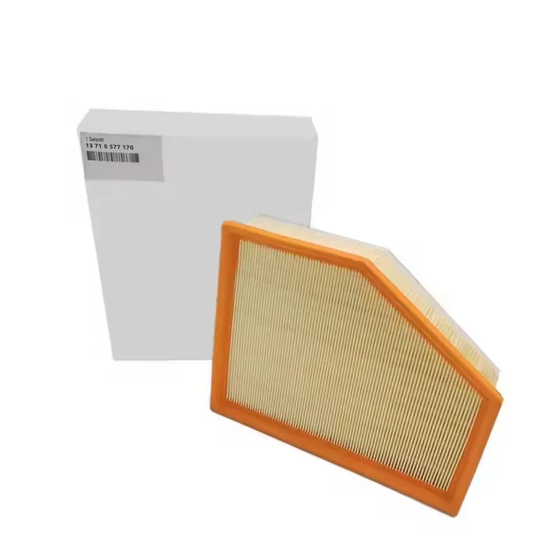 Carbon Cabin Filter Air Filter For BMW 7\' G11 G12 5\' G30 G31 G38 X3 G01 G32 X4 G02 13712454387 13718577170 13718577171